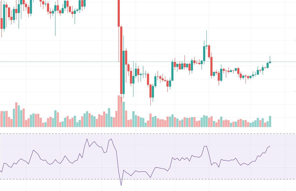 کندل حرفه ای