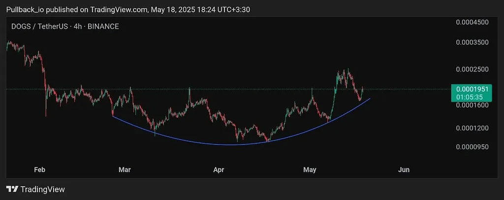 داگز ۴ساعته