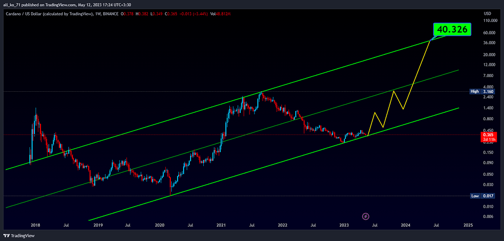 دیدگاه بلند مدتی کاردانو و احتمال رشد 10 هزار درصدی!