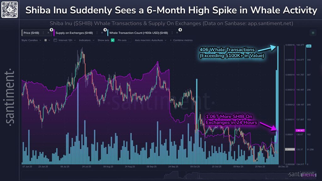 🔍 تحلیل وضعیت فعلی ارز شیبا و نوسانات پیش‌رو