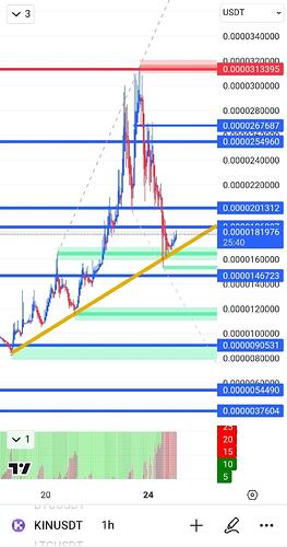 Kinusdt اخبار خوبی داره براش میاد