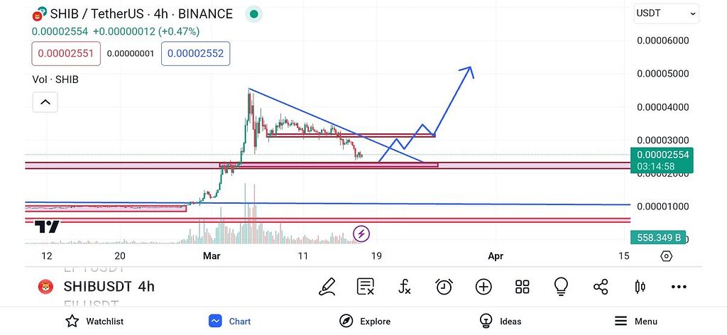 شیبا تایم ۴ ساعت