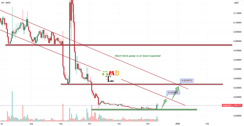 بیکری توکن؛ پتانسیل ۲ برابر شدن قیمت