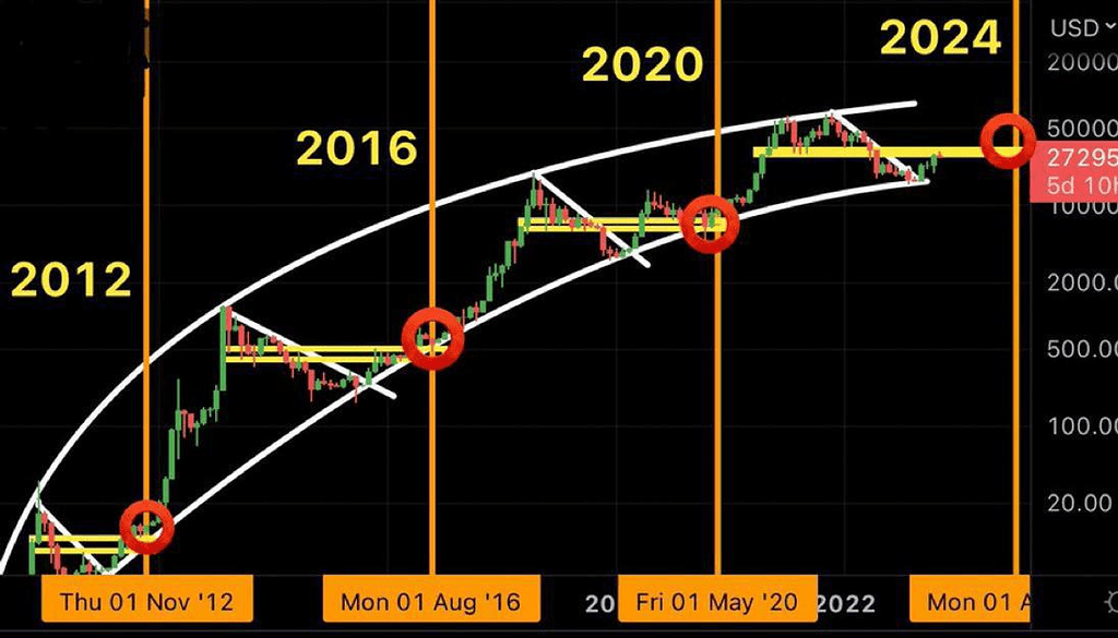 چرخه ی کل بیتکوین