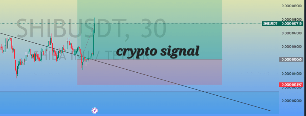 ۵ درصد پامپ شیبا