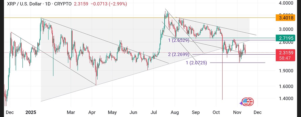 بررسی ریپل بعد از دو ماه