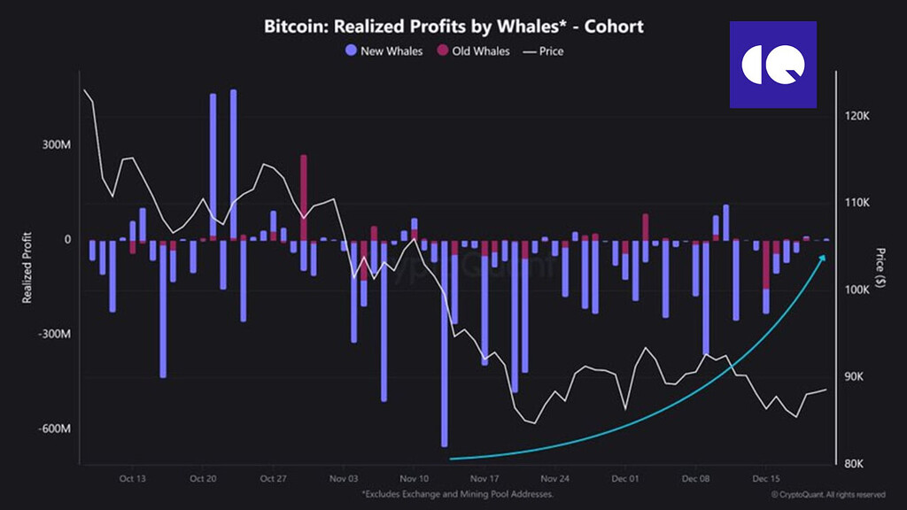 فشار فروش کاهش یافته — بیت‌کوین وارد فاز انتظار برای خریداران جدید شد 📊