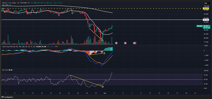 BTCUSD_2025-03-02_19-38-53