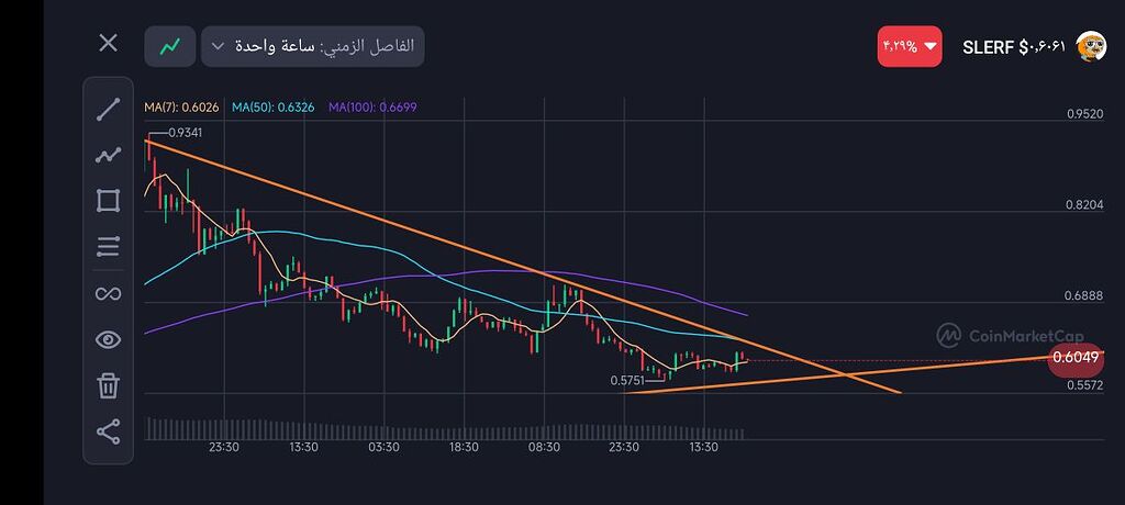 ارز دیجیتال اسلرف
