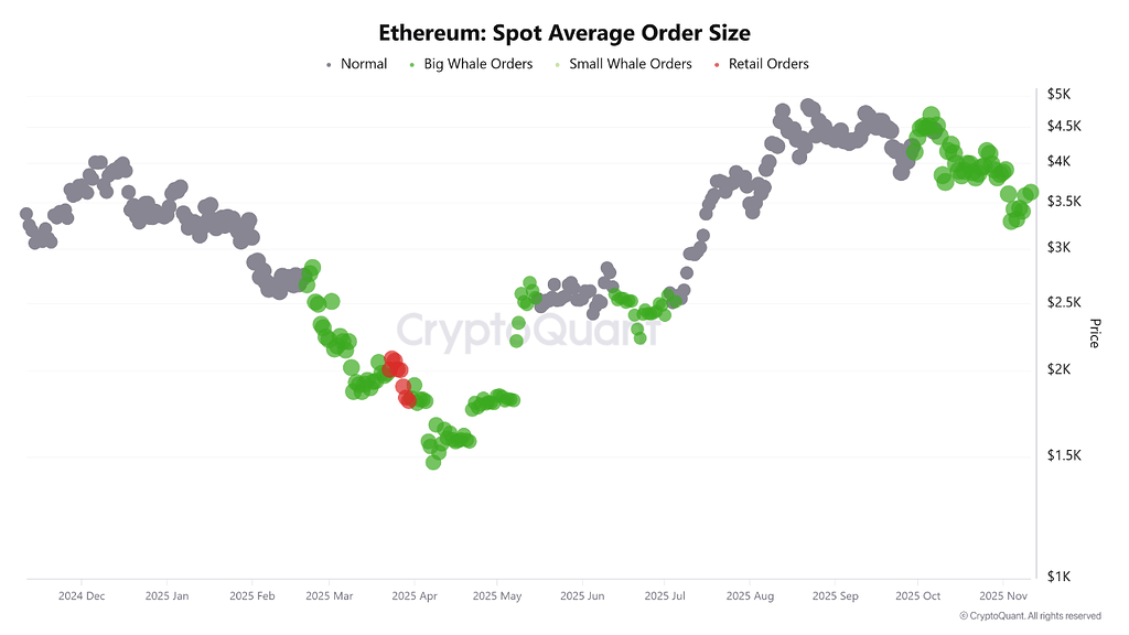 پویایی بازار اسپات اتریوم از اکتبر ۲۰۲۵: انباشت نهنگ‌ها و تغییرات ساختاری 🐳