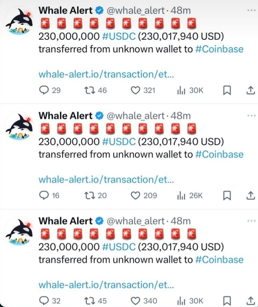 نهنگ ها در حال خریدن 🐳🐳🚀🚀