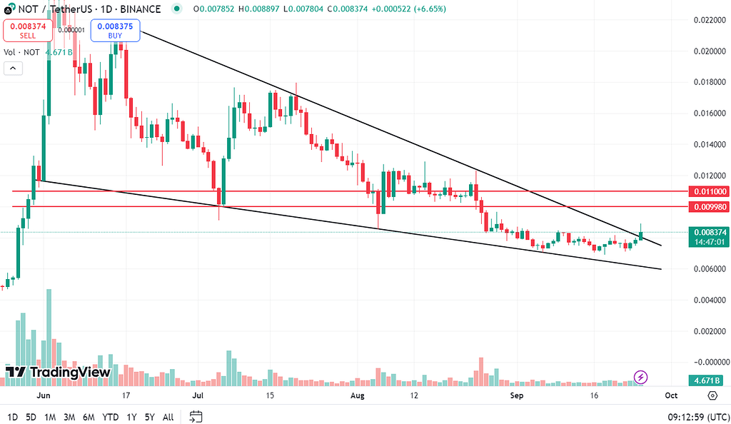 نات کوین (notcoin)