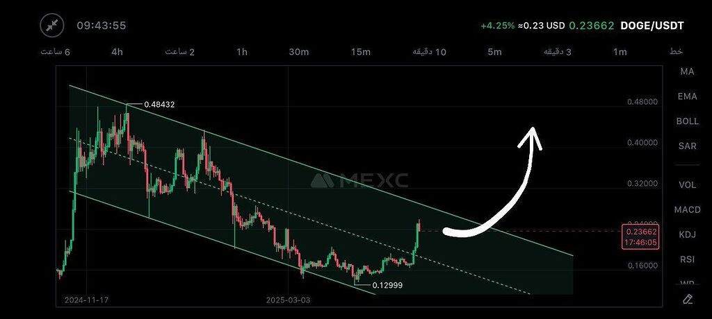 Doge is coming?