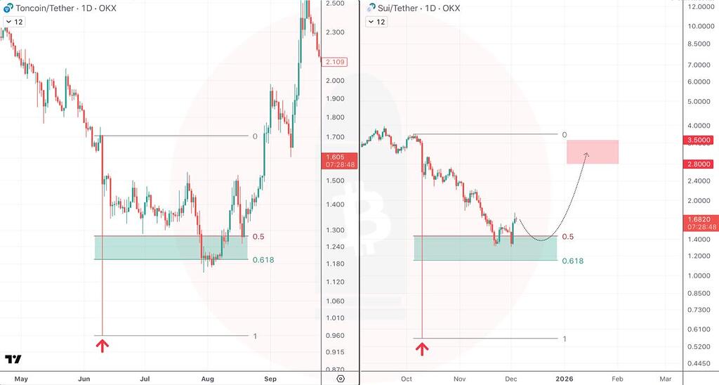 تحلیل مقایسه‌ای sui و ton: شباهت‌های قیمتی و پیش‌بینی آینده 🚀