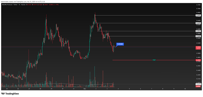 ANYONEUSDT_2025-11-03_16-14-18