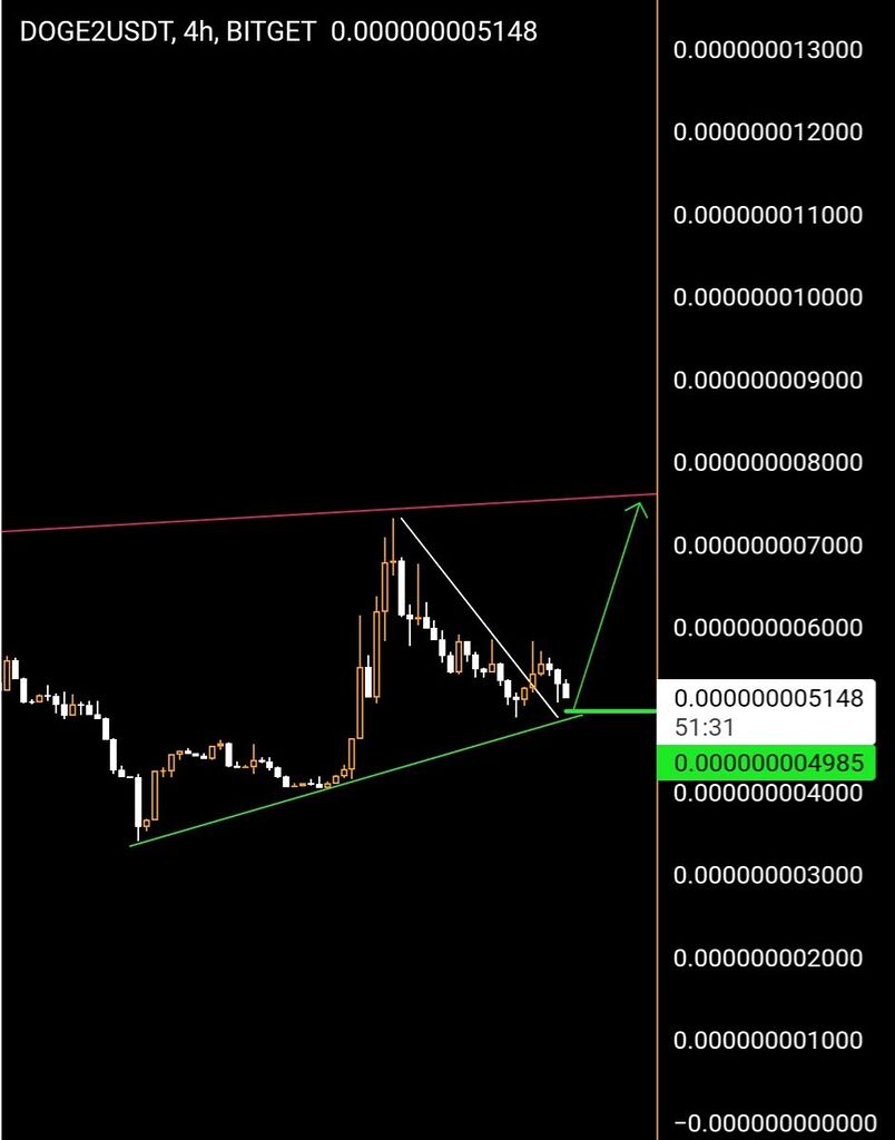 Illı DOGE2.0 .4H ıllı