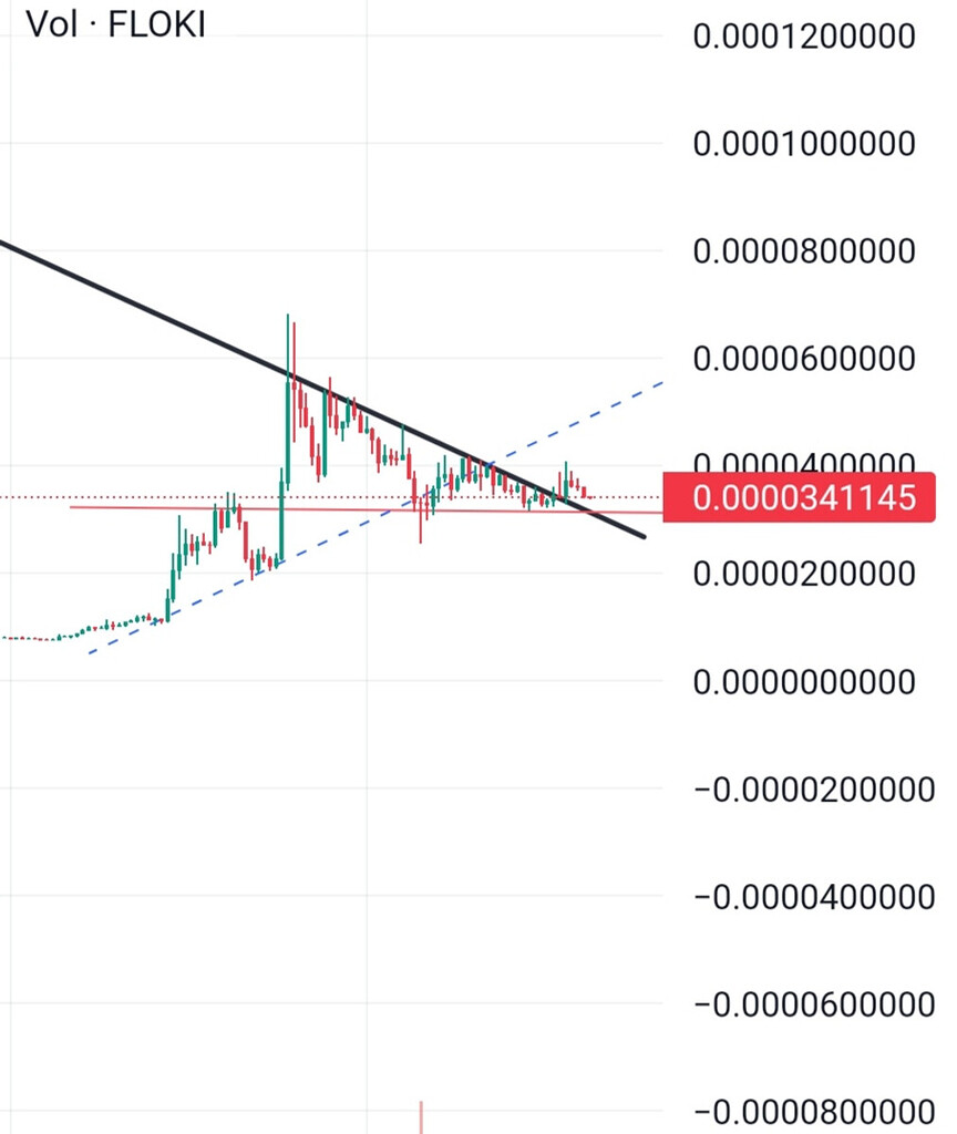 Floki و هلدرای صبورش🤌✨