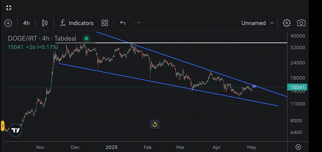 دوج در راه برگشت