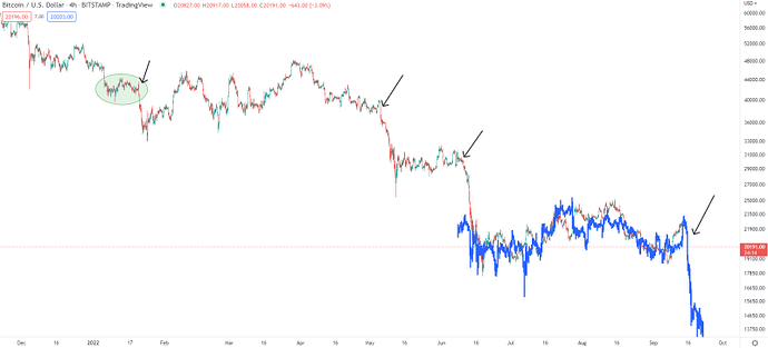 آیا می شود به بیت امیدوار بود؟