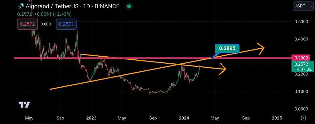 تحلیل الگورند، اماده پامپ بیشتر