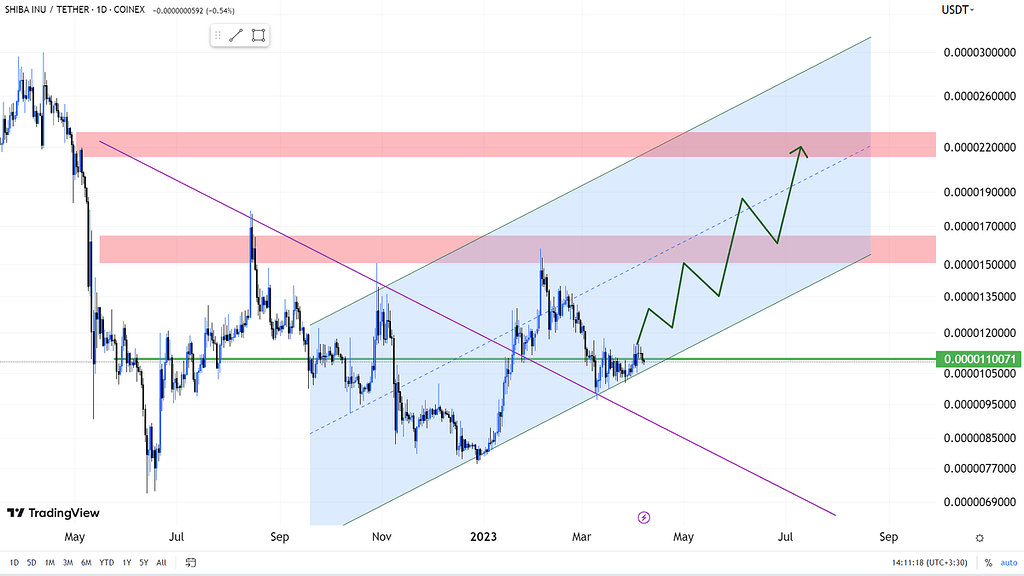 هولدرهای شیبا می توانند خوشحال باشند