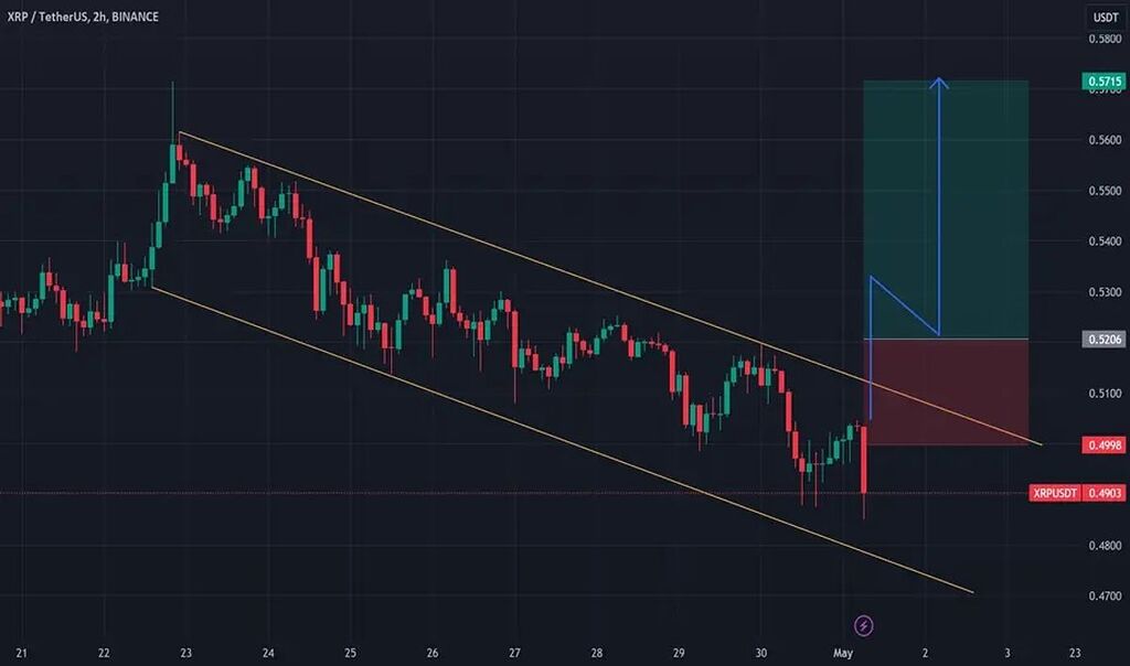 روند حرکتی ریپل