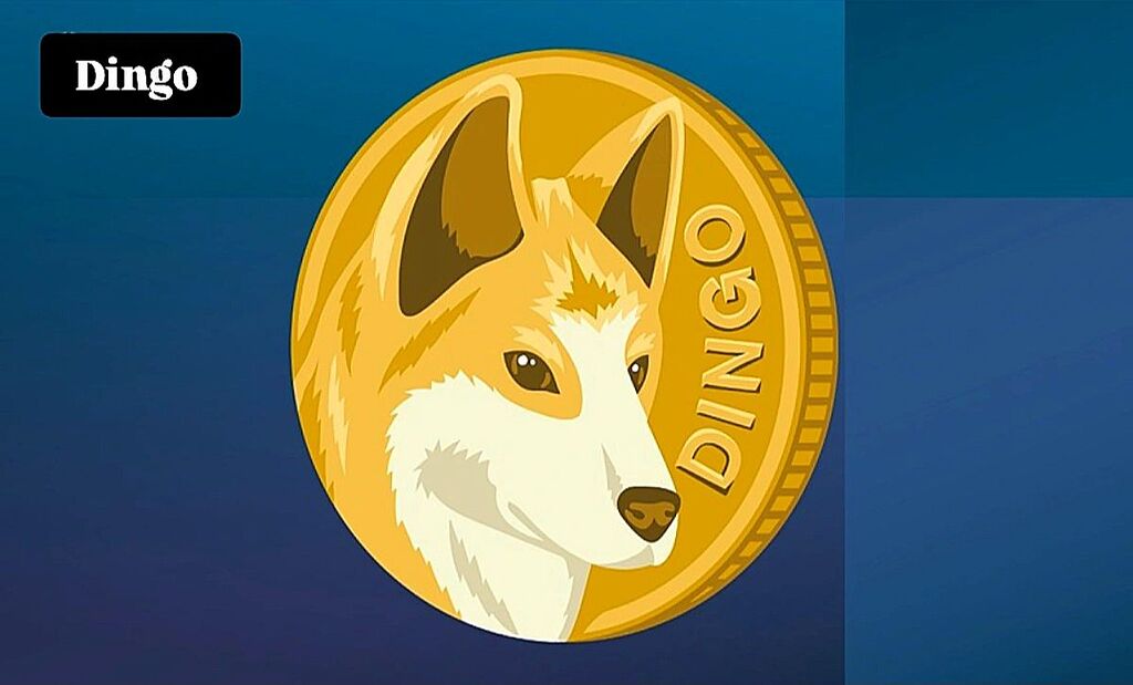 معرفی و تحلیل صعودی ارز محبوب Dingo