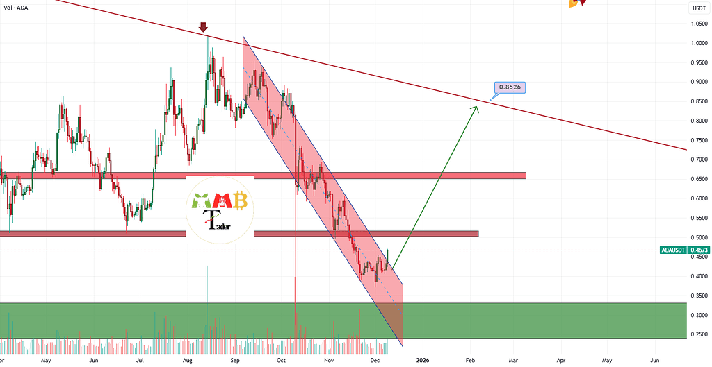 کاردانو به سمت ۰.۶ دلار در حرکت