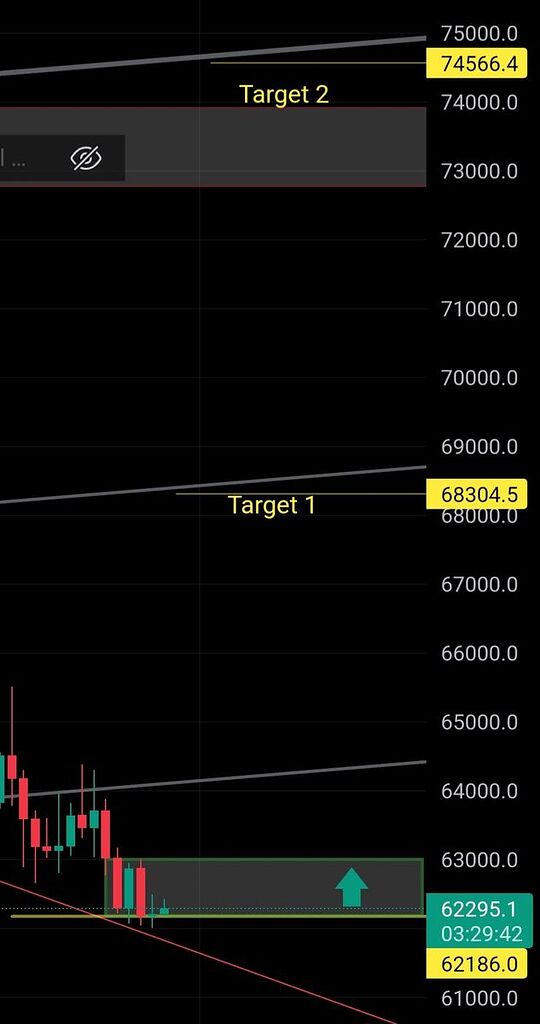 لانگ بیت کوین