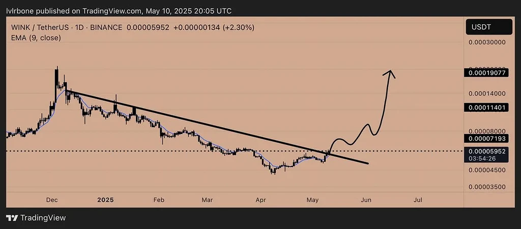 تحلیل ارز وینک