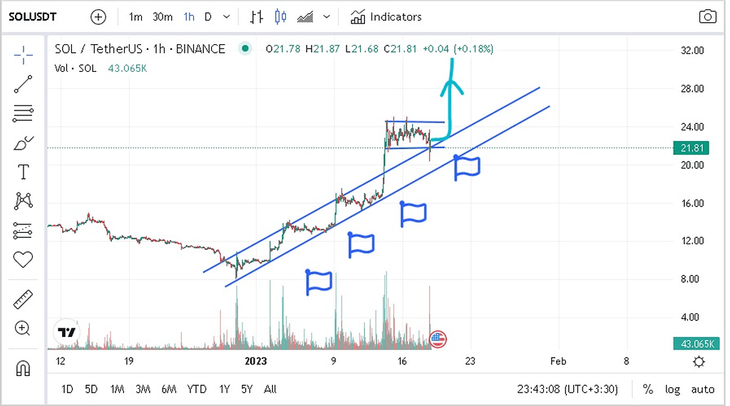 بازگشت به قله