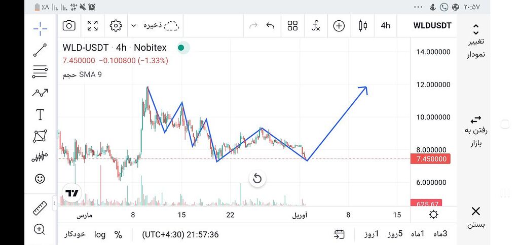 کف دو قلوی زببای ورلد کوین.مناسب برای پامپ جذاب