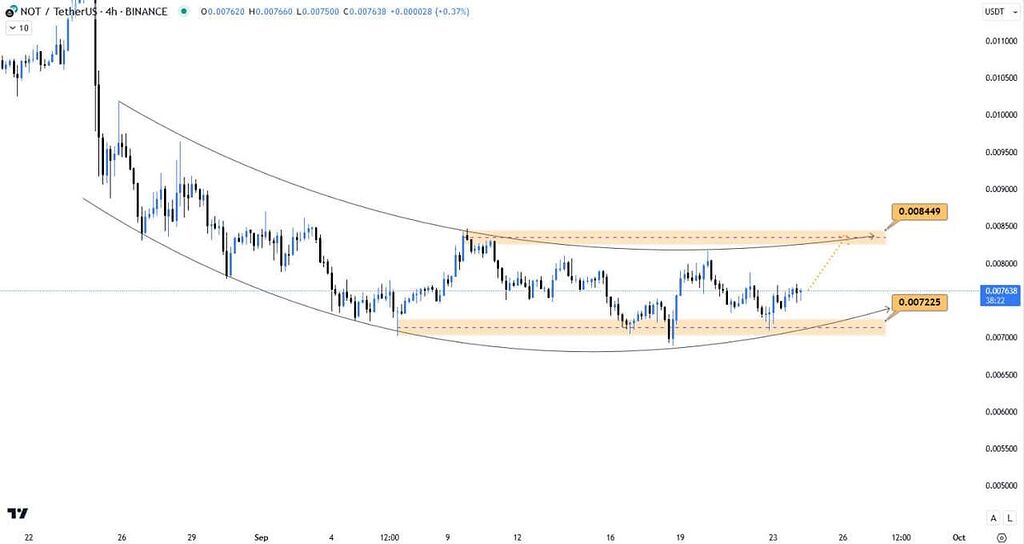 نات کوین (notcoin)