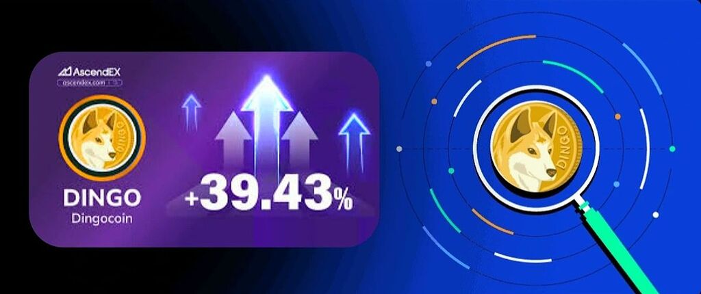 میم کوین dingo محبوب جامعه کریپتو