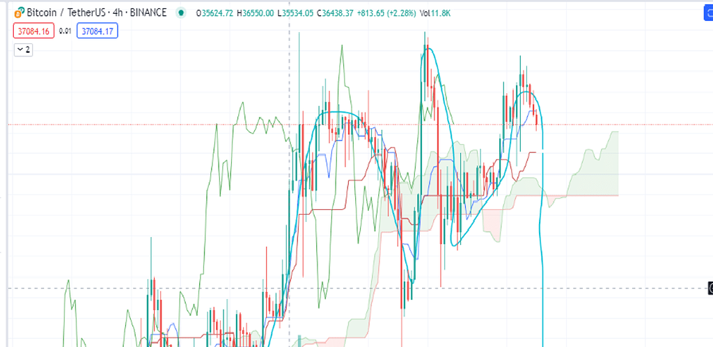 الگوی سرو شانه در بیت