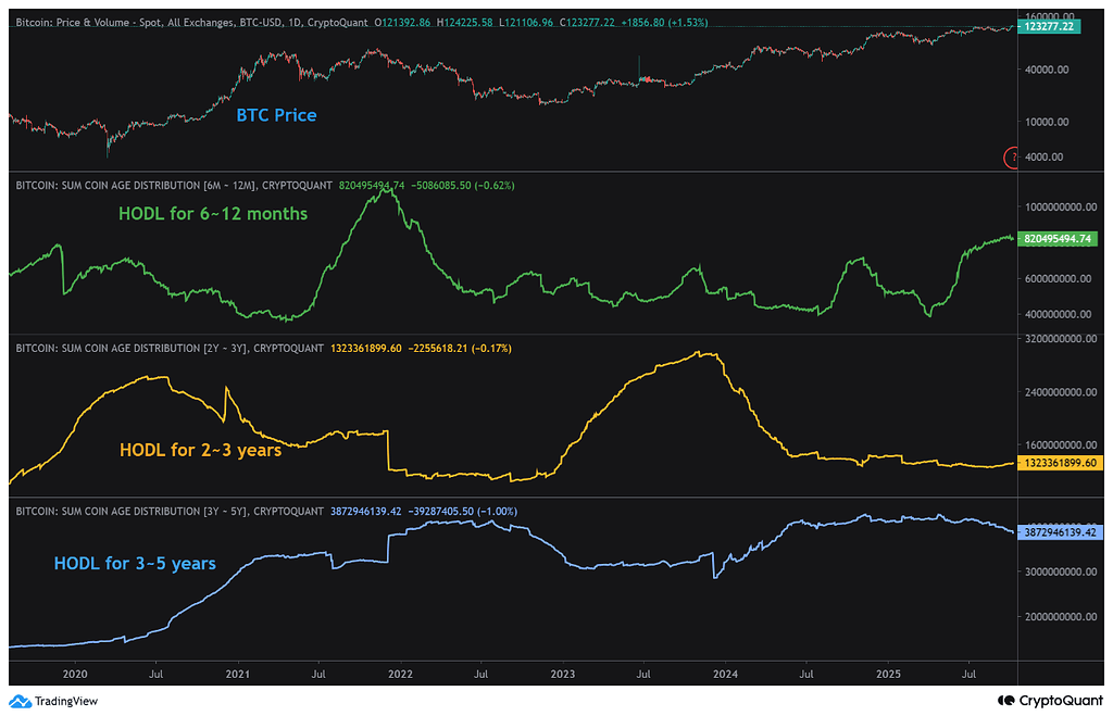تمرکززدایی بیت‌کوین فراتر از معماری؛ داده‌های هولد چه رفتاری را نشان می‌دهند؟ 📊