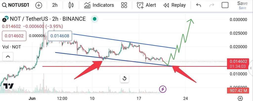 نات کوین در حال آماده شدن برای پامپ 🚀🚀🚀