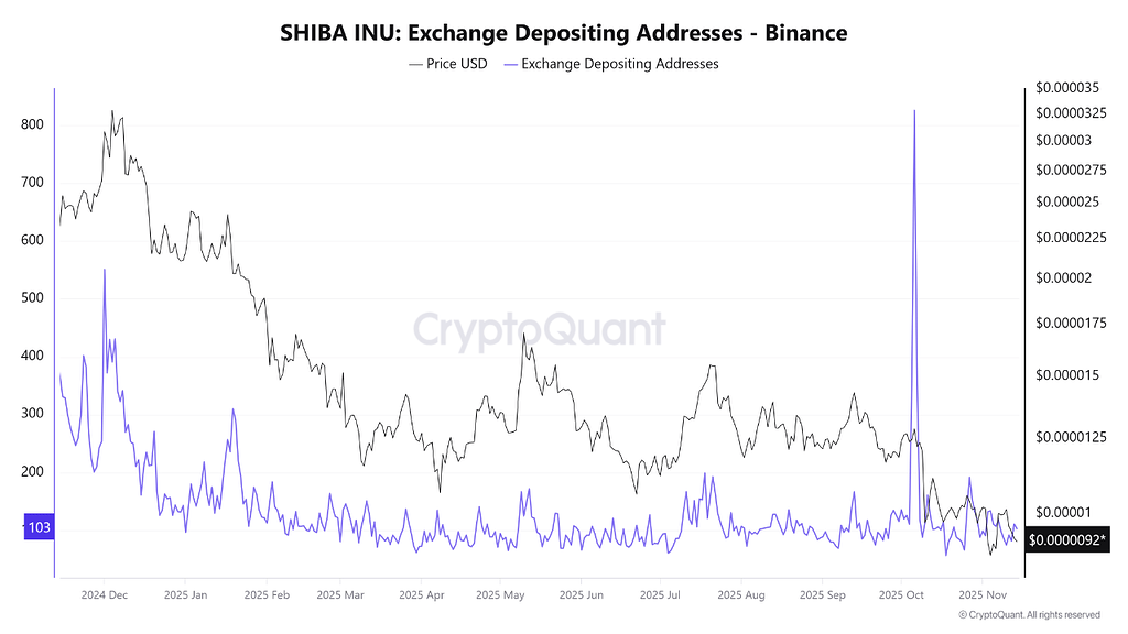 شیبا در نقطه تصمیم‌گیری ⚖️