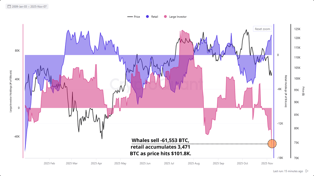 واگرایی بیت کوین: توزیع نهنگ‌ها و انباشت خُرده‌فروشان 📈