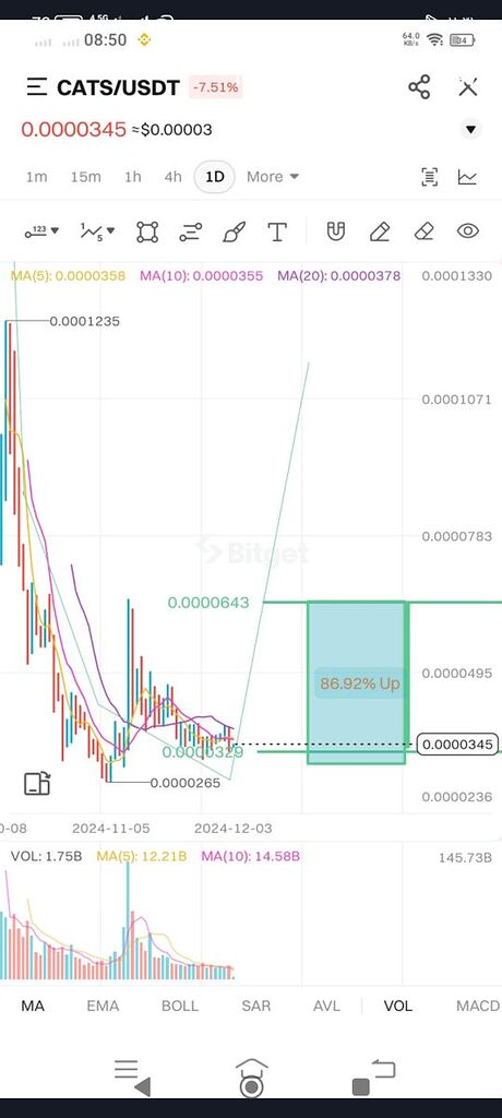 گربه مهربان