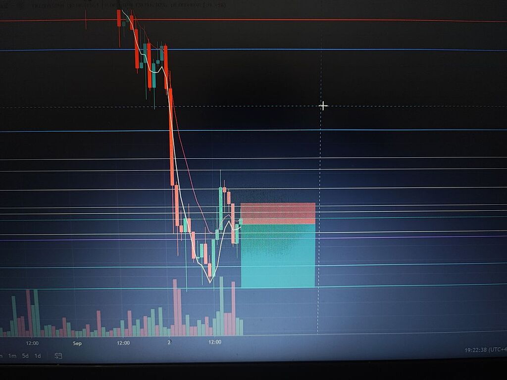 میخواد شیرجه بزنه تو منجلاب