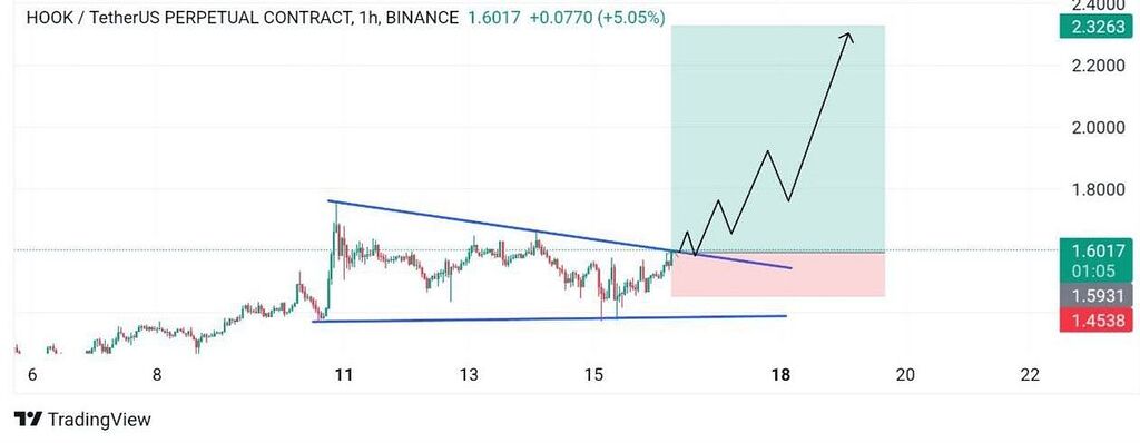 تجزیه و تحلیل هوكد پروتکل از دست ندین