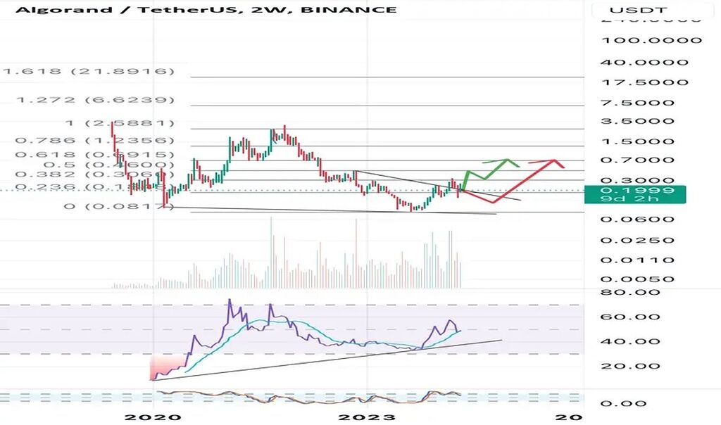 روند قیمتی الگورند