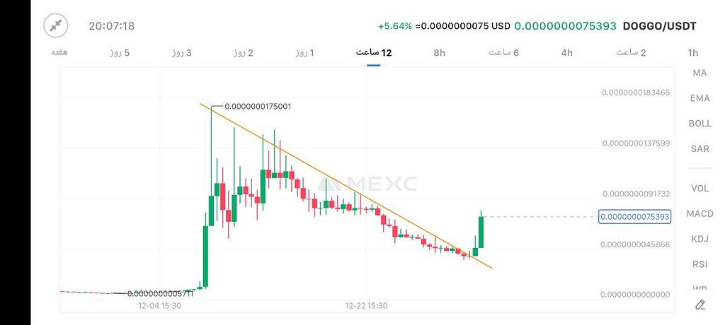 تحلیل ارز داگگو doggo