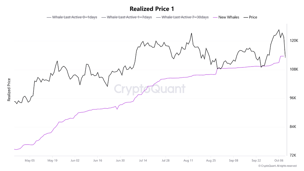 آیا نهنگ‌های تازه وارد از سطح کلیدی بیت کوین دفاع می‌کنند؟ 🐋