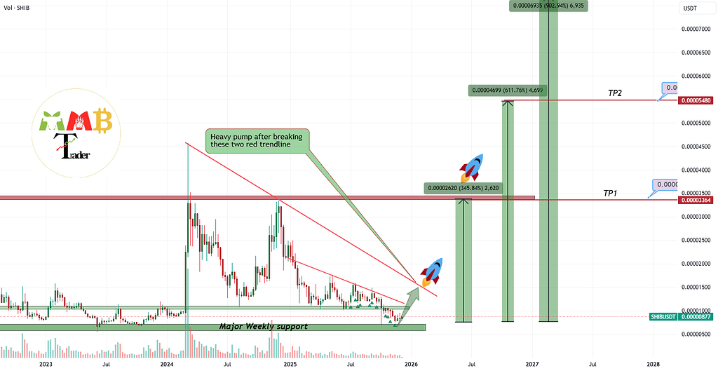 شیبا اینو: رشد ۵ تا ۷ برابری در صورت شکست ۰.۰۰۰۰۱۴$