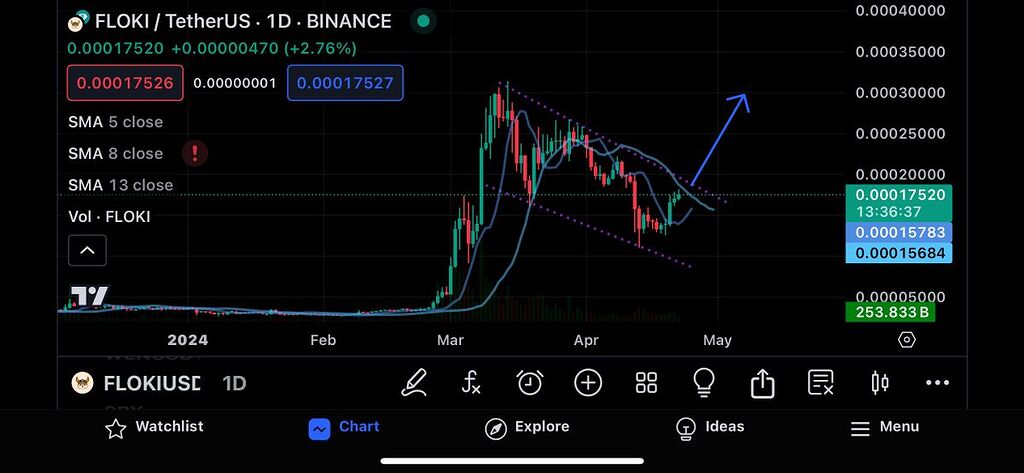 تکنیکال فلوکی