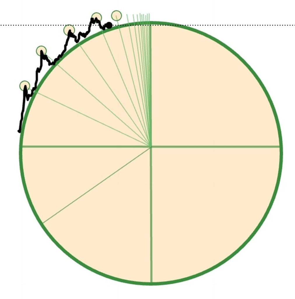 ساختار حرکتی بیت کوین