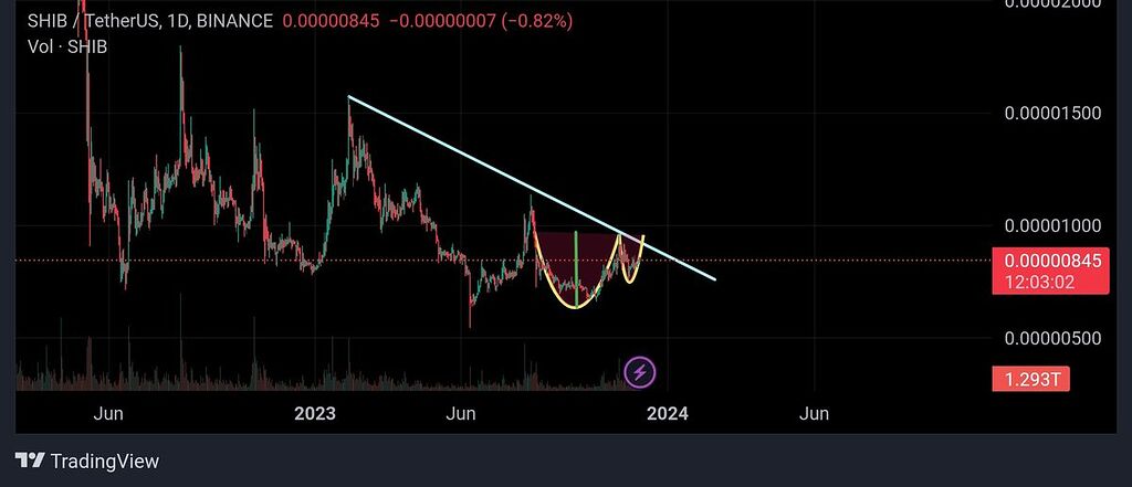 آیا فنجان ؟