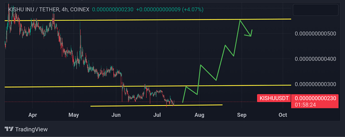 رشد میم کوین Kishu inu 💸 رشد میم کوین Kishu inu 💸